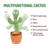 Dancing Cactus