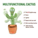 Dancing Cactus